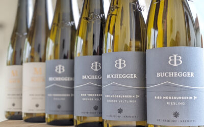 The new vintage of our 1ÖTW-Erste-Lagen wines.